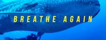 #BreatheAgain  – Explore Galapagos
