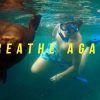 #BreatheAgain – Galápagos