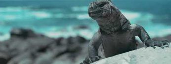 Galapagos Islands – Sneak peek