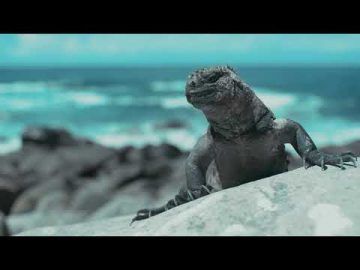 Galapagos Islands – Sneak peek