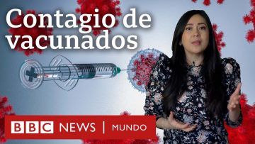 Ómicron: por qué los vacunados también se contagian (y no es que las vacunas no funcionen)