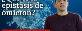 Qué es la epistasis y por qué es fundamental para entender a ómicron | BBC Mundo