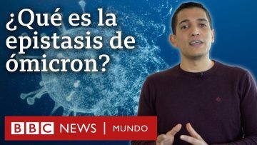 Qué es la epistasis y por qué es fundamental para entender a ómicron | BBC Mundo