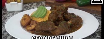 SECO DE CHIVO