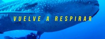 #VuelveARespirar – Explora Galápagos