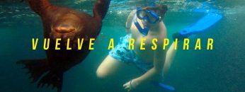 #VuelveARespirar – Galápagos