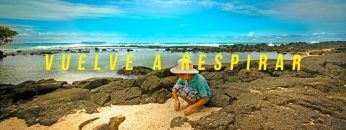 #VuelveARespirar – Galápagos te espera