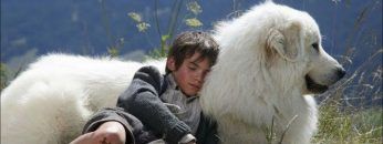 El peligro en las montañas 🐕 (BELLA) pelicula familiar en español castellano