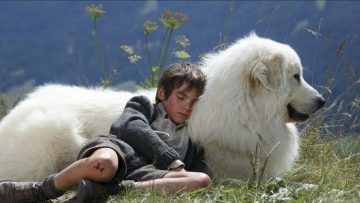 El peligro en las montañas 🐕 (BELLA) pelicula familiar en español castellano