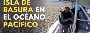 Isla de basura en el Pacífico: Todo lo que debes saber
