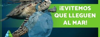 PLÁSTICOS en el MAR 🛍️🌊 ¡Causas, Consecuencias y Soluciones!
