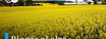 ¿Biogás alemán para reemplazar el gas ruso?