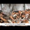 Colillas de cigarrillo en Francia, de contaminantes a soluciones verdes