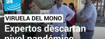 Expertos descartan que la viruela del mono pueda alcanzar niveles pandémicos • FRANCE 24 Español