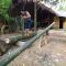 4 YEAR LIVING ALONE in the forest (FULL VIDEO) its were all started: From fail to success