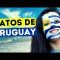 85 Curiosidades que No Sabías de Uruguay: ¿el mejor país para vivir de América Latina?