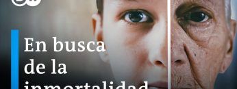 Descifrar el código secreto del envejecimiento | DW Documental