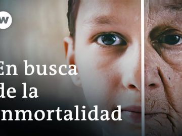 Descifrar el código secreto del envejecimiento | DW Documental
