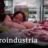 El negocio mundial de la alimentación | DW Documental
