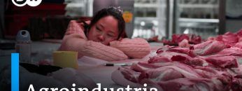 El negocio mundial de la alimentación | DW Documental