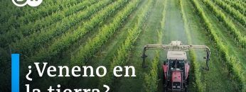 ¿Está la enfermedad de Parkinson relacionada con el uso de pesticidas? | DW Documental