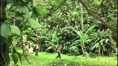 la mariposa azul en busca de un sueño (2004).avi(basada en un hecho real)