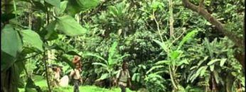 la mariposa azul en busca de un sueño (2004).avi(basada en un hecho real)
