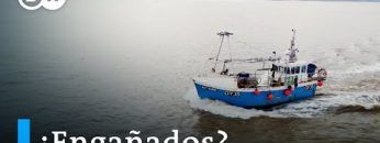 Las promesas del Brexit – La frustración de los pescadores británicos | DW Documental