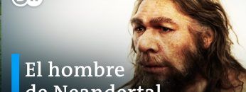 Los neandertales – ¿Nuestros parientes más antiguos? | DW Documental