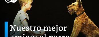 Perros y humanos – Los secretos de una amistad inquebrantable | DW Documental