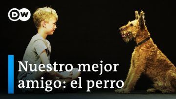 Perros y humanos – Los secretos de una amistad inquebrantable | DW Documental