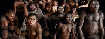 PLANETA HUMANO – 300 millones de años – Episodio 2 – Documental HD