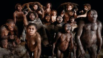 PLANETA HUMANO – 300 millones de años –  Episodio 2 – Documental HD