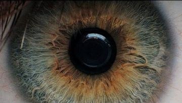 PLANETA HUMANO – Documental Cuerpo Humano HD