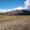 Cotopaxi, un destino de altura.