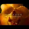 El País de las Orquídeas