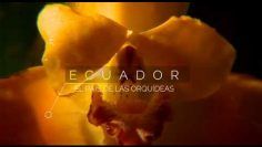 El País de las Orquídeas