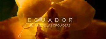 El País de las Orquídeas