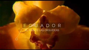 El País de las Orquídeas