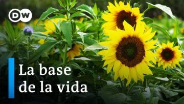 Arar para el clima: tierra sana, mundo sano