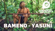 Bameno y Yasuní: una mirada a la Amazonía ecuatoriana
