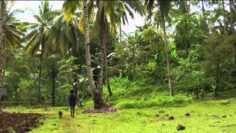 Bayanihan: cooperación y cuidado mutuo en Filipinas