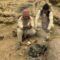 Comunidades andinas: Cultura y costumbres del Perú más remoto (Documental)