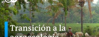 El cambio de paradigma: iniciativas para una vida sostenible