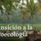 El cambio de paradigma: iniciativas para una vida sostenible