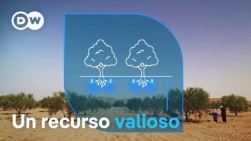 Escasez de agua: nuevas ideas contra la sequía