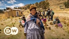 Feminicidios en América Latina: violencia, prevención e impunidad