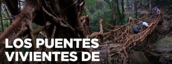 India: puentes vivientes y saberes que atraviesan generaciones