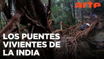 India: puentes vivientes y saberes que atraviesan generaciones