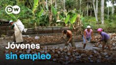 Juventud, precariedad y desigualdad en el empleo